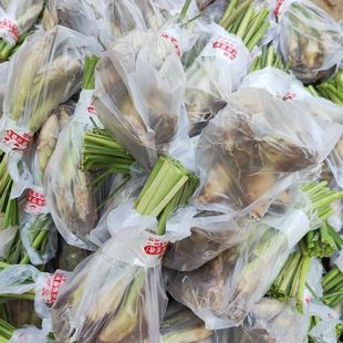 ��é���������r��ʳ�Ù��ʲ���é�N��̩����ꎹ�������xֲ��Gֲ