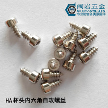 ��ͷ�������Թ�HA3*6-16 Բ��ͷ�����Ǽ�β�Թ�  201����ֹ�ͷ