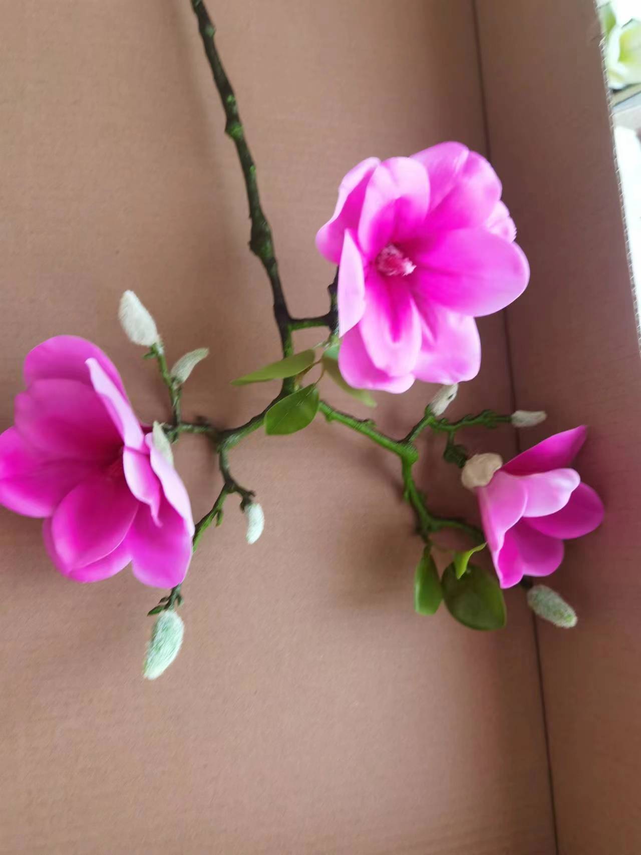 69f8c54bbfa10abc77fadd5b423a9d