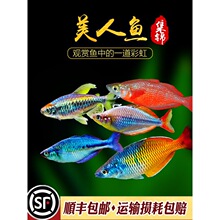�S����������Ꭷ�^�p�~�O��늹�����ʯ�����~�Sβ����������w�~