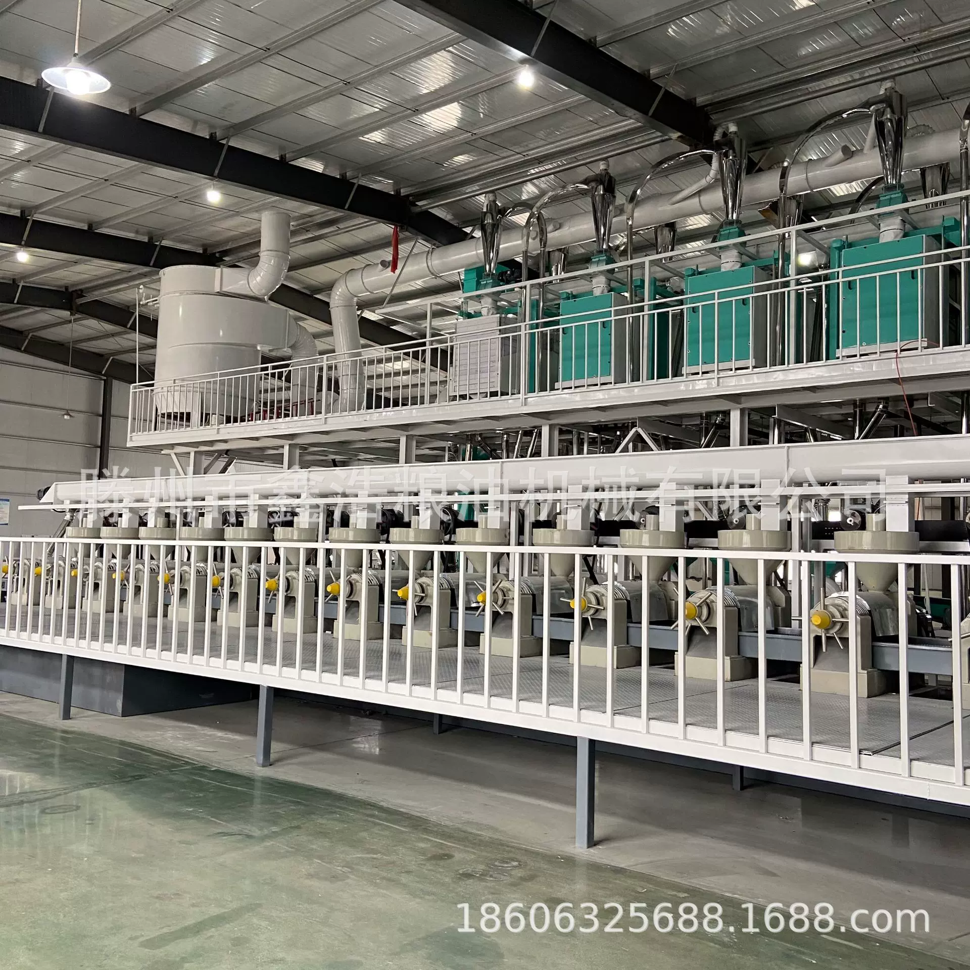 螺旋榨油机 大豆芝麻榨油机多组成套压榨油设备