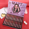 Matte nutritious lip gloss, set, new collection, 24 pieces