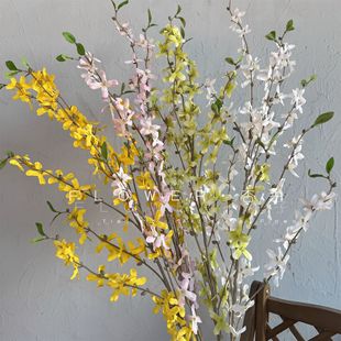 �Ӱ��g���滨ӭ������c���b��̘I��ꐾG�����l��С��ӆ���绨��