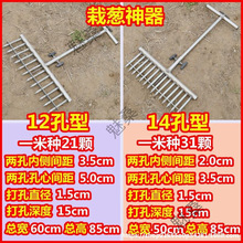 种葱大葱小型机器移栽栽苗打孔器打眼机农民干活栽葱工具