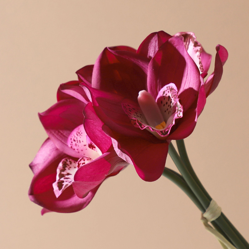 Orquídea Cymbidium falsa de alta calidad, decoración para sala de estar y bodas