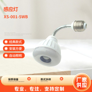 E27 metal hose universal adjustment 5W induction lamp LED induction lamp, LED light control human body induction lamp in stock