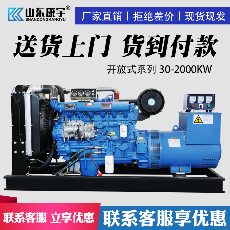 濰坊ディーゼル発電機セット 50/100/150/200/300 kW 養殖火災緊急バックアップ|undefined