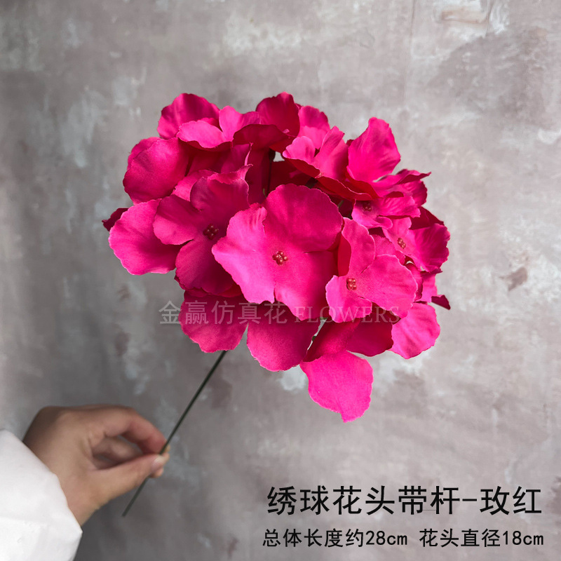 얇은 막대가있는 단일 수국