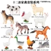 JS poultry 12 sets