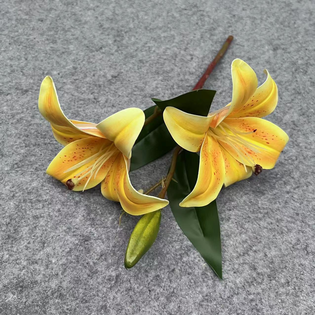 3D 릴리 오렌지