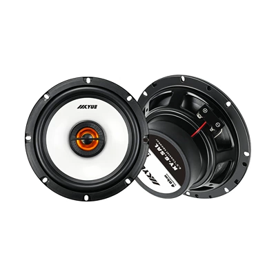 speaker, Car speaker/subwoofer