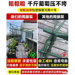 �z�����Ѽ����������������������ё����ټ�������S��ͥԺ���