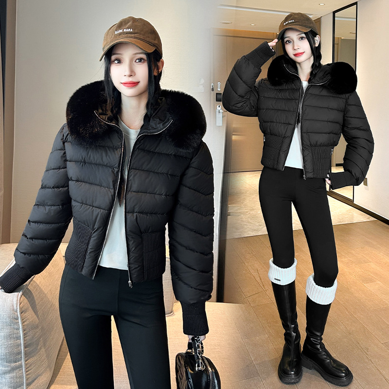 Otoño y invierno ins Europa y América cuello de lana ropa de algodón casual delgada cuello de lana de mujer abrigo de pluma con capuchón corto