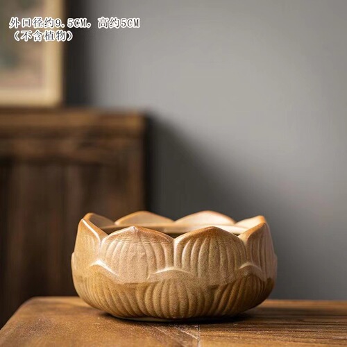 Meaty flower pot rough pottery pot imitation small stone retro potted thumb pot breathable cross-border ceramic meaty special pot