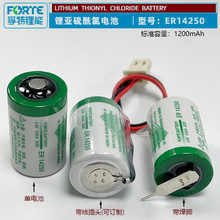 ����Forte����ER14250����IC��ETC̨�_���������WPLC�늳؎��_