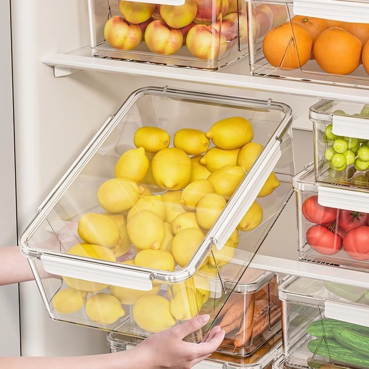 Xingyou 鮮度保持冷蔵庫家庭用長方形の厚みのある密封されたプラスチック密封された鮮度保持ボックス野菜と果物の保存ボックス|undefined
