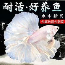 ̩��ِ�����~�Ꭷ�^�p�~���װ��»鼆���B�Ꭷ�~�����ͻ����Ů