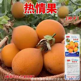热情果种子瓜果水果原装四季蔬菜大全菜菜代批发热带