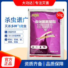 8%���_��������ۄ��������nω�������ș���x��50g��Ч���x