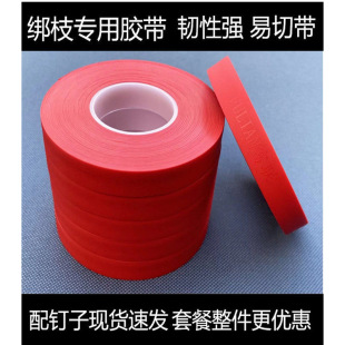��֦�C�z���Ӻ񽉎���ӷ��������}Ů����֦������������
