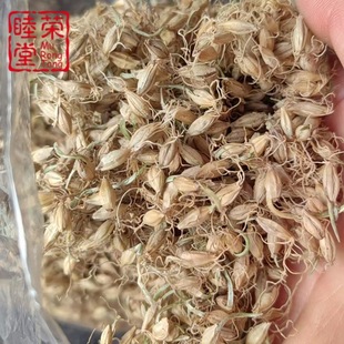 ��ѿ���l����ѿ���NҎ����ș��ԭ�ϬF؛������ѿ��؛�o������ѿ