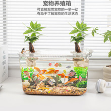 家用客厅超白塑料鱼缸桌面造景水草金鱼乌龟缸循环生态水族养殖箱