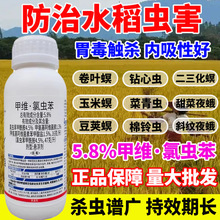 甲维氯虫苯水稻杀虫剂秧田农药水稻杀虫药剂钻心虫卷叶螟源头工厂