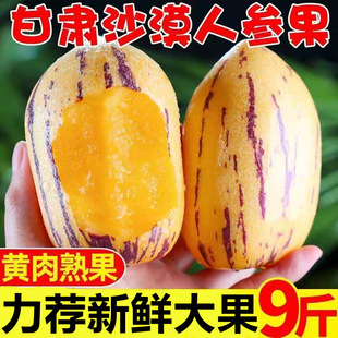 ��ɳĮ���]�����C����ɳĮ�˅����S�����������r�����a��ֱ�l���]