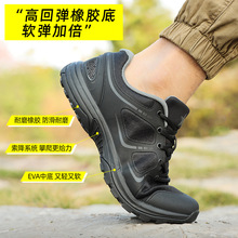 ƷʽwӖЬļWwӖЬ͎ͷܲЬ