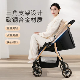 宠物推车;婴儿推车;腰凳背带