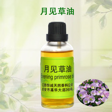 ���a�S�ҬF؛������Ҋ����ԭ�ϻ��A��������