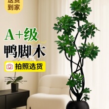 ���_ľ�͏d�Gֲ�������҃ȸд���ֲ��˷���ؔ����ľ���