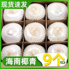 【精选大果】海南椰青新鲜椰子2/4/6/9个装当季孕妇水果整箱批发