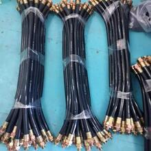 BNG���������B�ӹ� �߉��z�� ����ܛ�� ��� ɽ�| ���h��