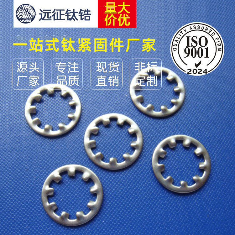 厂家供应 钛锯齿垫圈 钛垫片 内锯齿止动垫圈 内多齿 钛垫圈