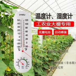 大棚温度计农业专用高精度种植养殖壁挂式温室大棚内用温湿度计