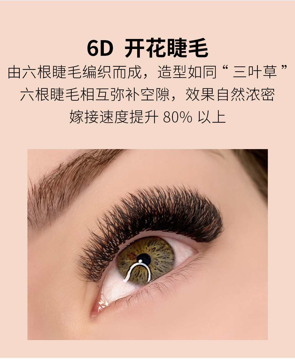 六叶草嫁接睫毛 六叶草嫁接睫毛