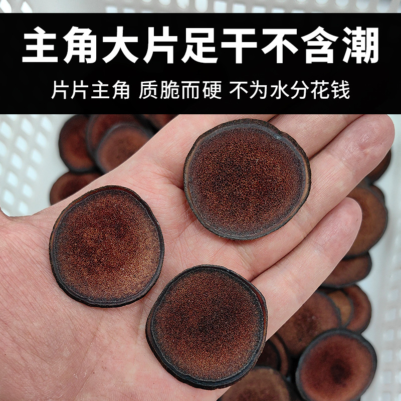 Deer Antler Red Powder Slices Lu Rong Hong Fen Pian 50g Traditional TCM Herb for Infusion and Daily Wellness overview