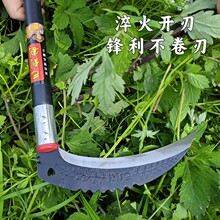 �r��砵����ø�ݵ��i䓳��h�����Ͳ˾²�������֦����������砵�