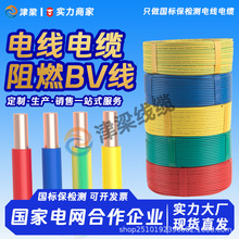 阻燃BV绝缘家装线4/6/10平方电线电缆国标铜芯户外开关插座电源线