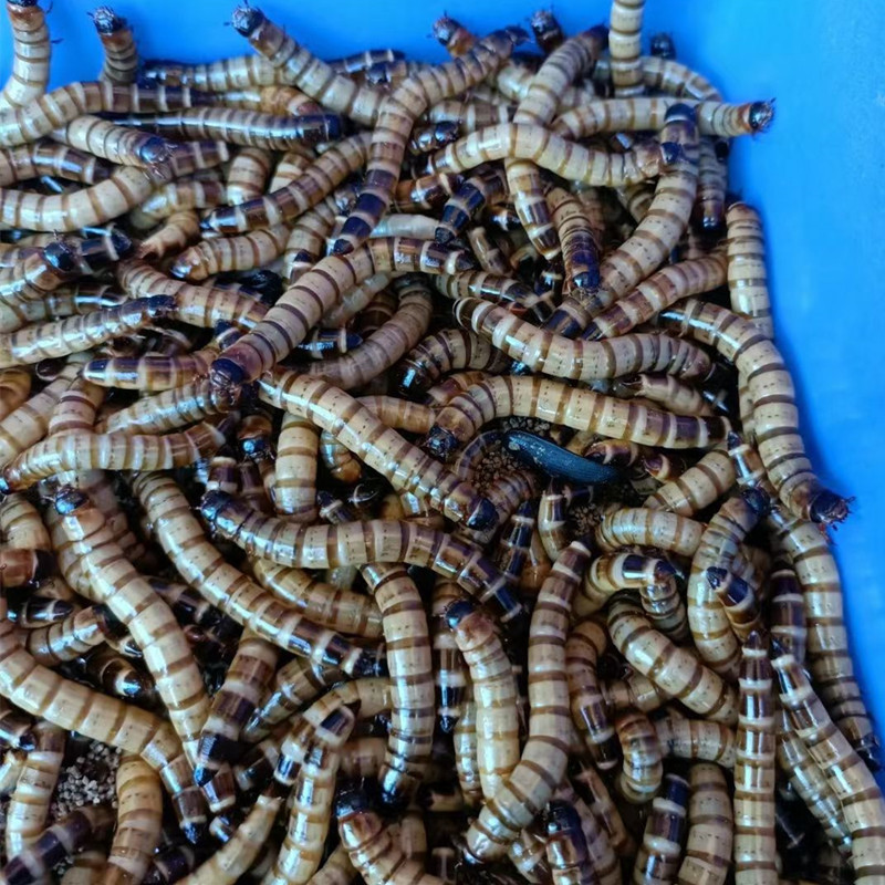 微信图片_20230504113311