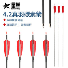 4.2mm����̼�� ���y���C�������������̼�w�S���U���u��̼�ؼ�