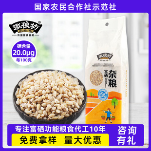 �ּZÓƤ����С���� ȥƤС��������s�Z����������С�������l