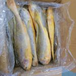 �����䶳�����ƻ��������������ֻ��ƻ������ʳ�ĵ�������