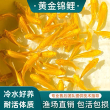 �S���\�����~��ؔ�~���~���~���B�ͻ���ˮ�~�~��С���~�^�p�~