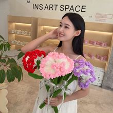 ��֧ë��������ܰ�ֹ���������Ʒ�l؛�������h�������˹��������l