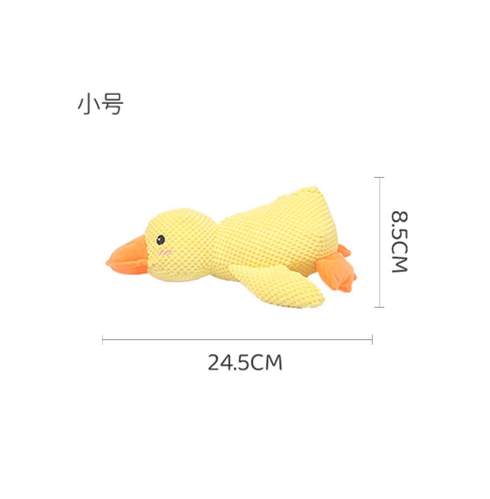 트럼펫 동반 오리