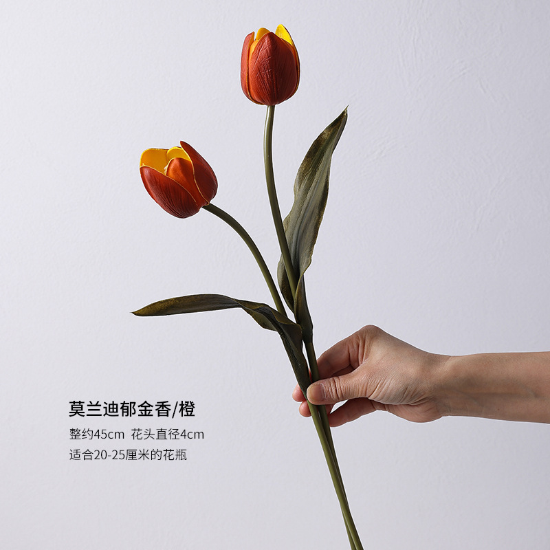 Florero Irregular de Vidrio Hidropónico con Boca Estrecha para Mesa de Comedor image 9
