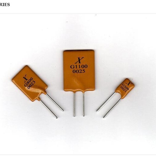 Professional Direct Supply Pptc Plug-In Self-Recovery Fuse Xg1400 Special Fuse Manufacturer for Automotive Electronics Professional Direct Supply Pptc Plug-In Self-Recovery Fuse Xg1400 Special Fuse Manufacturer for Automotive Electronics