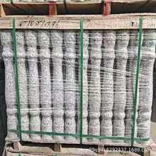 һƿ_RʯļӹeͥԺʯӵڗU